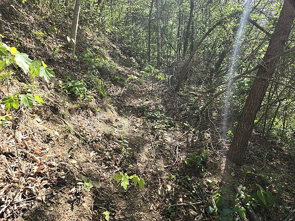 4th image of 321 Mill Creek Rd