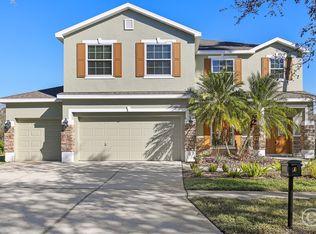 6206 Bridgevista Dr, Lithia, FL 33547