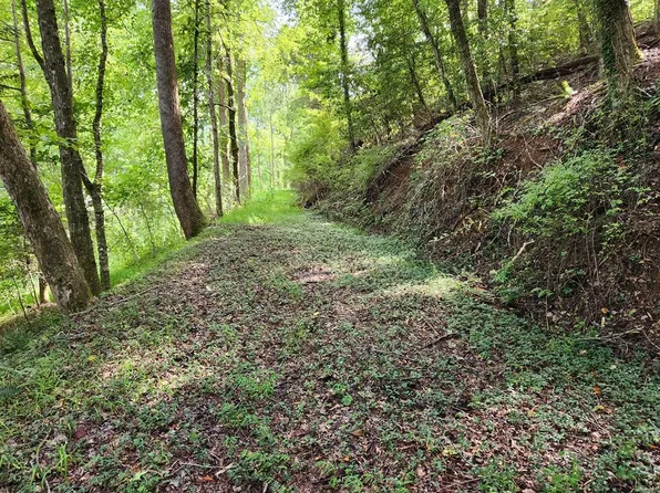 316 Matlock Creek Rd, Franklin, NC 28734