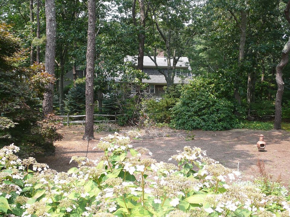Back Yard From Deck