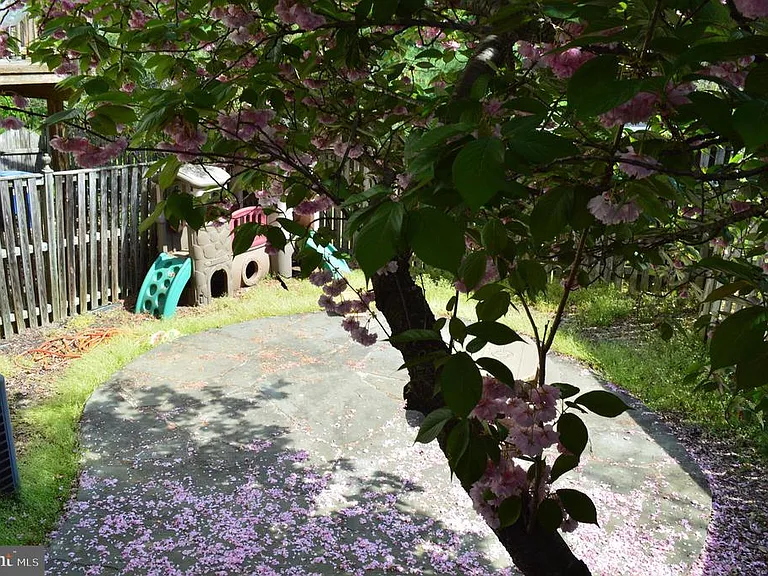 16853 Capon Tree Ln — Photo 24