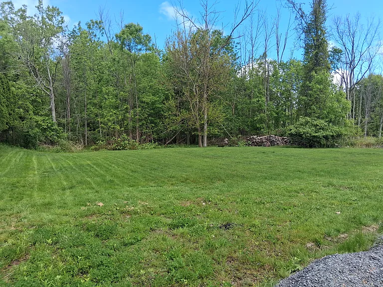 Exterior Back Yard