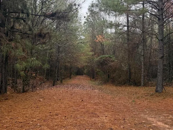 Loan Oak Rd, Lockesburg, AR 71846