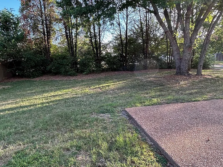 Back yard backs to common area