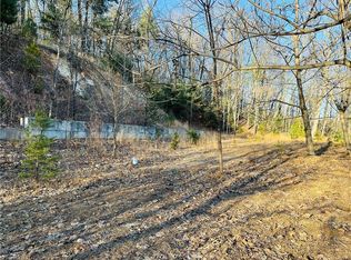 236 Staghorn Rd, Purlear, NC 28665