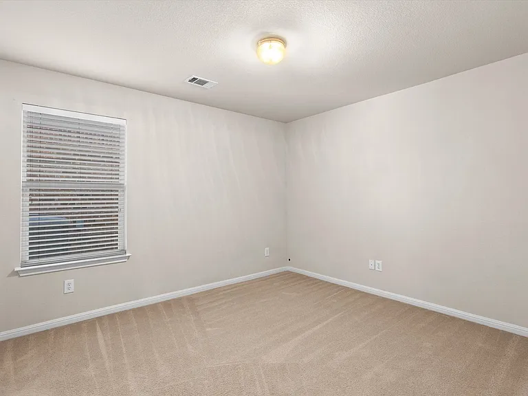 1322 Tumbling River Dr — Photo 19