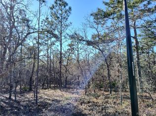 8 Elder Ct E, Homosassa, FL 34446