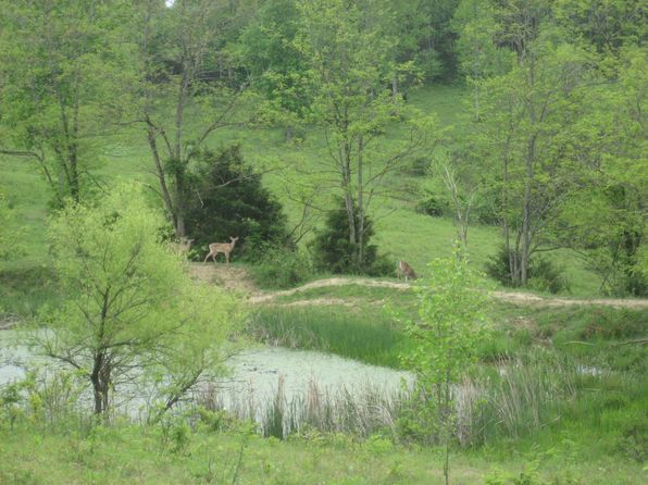 2 Buckler Ln, Olive Hill, KY 41164