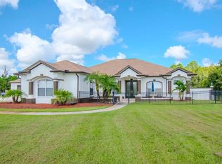 10019 Outlaw Way, Land O Lakes, FL 34639