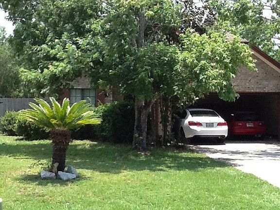 Mature trees
