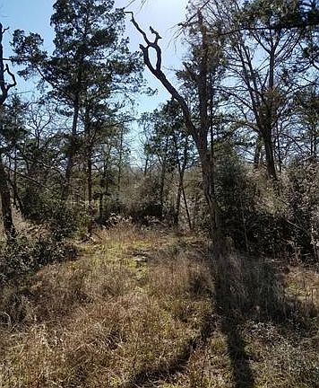 5th image of 151 Deep Woods Ct