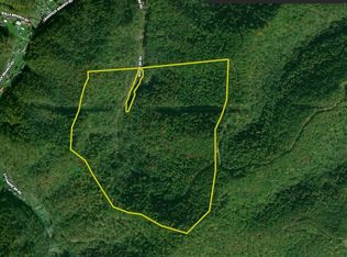 80 Redskins Dr, Lake, WV