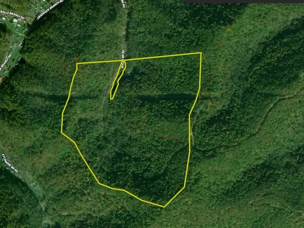 80 Redskins Dr, Lake, WV 25121