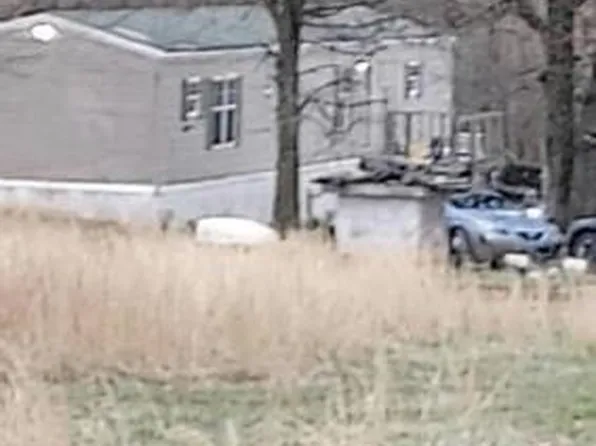 86 Reynolds Chapel Rd, Buffalo, MO 65622