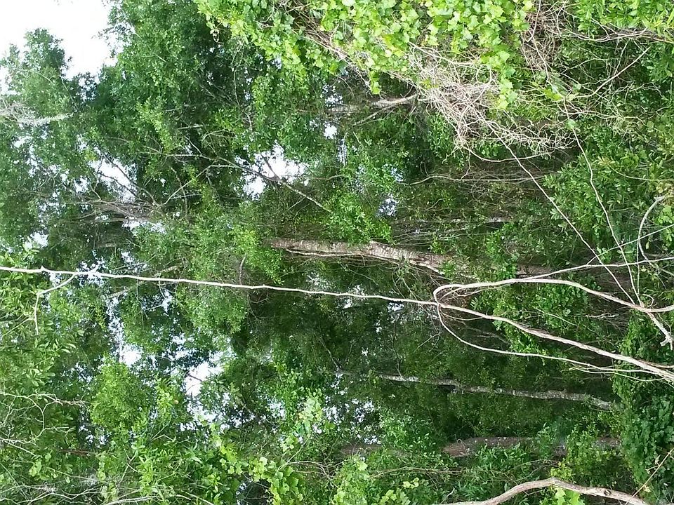 1st image of 244 Palm Pl