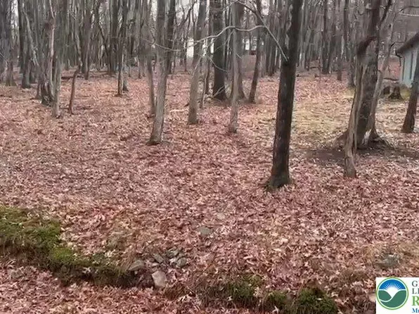 124 Shawnee Trl #1128, Albrightsville, PA 18210