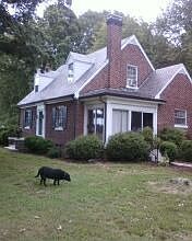 front drive side of house