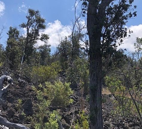 2nd image of King Kamehameha Blvd Lot 11