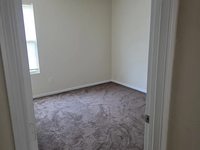 11643 Green Coral Dr — Photo 18