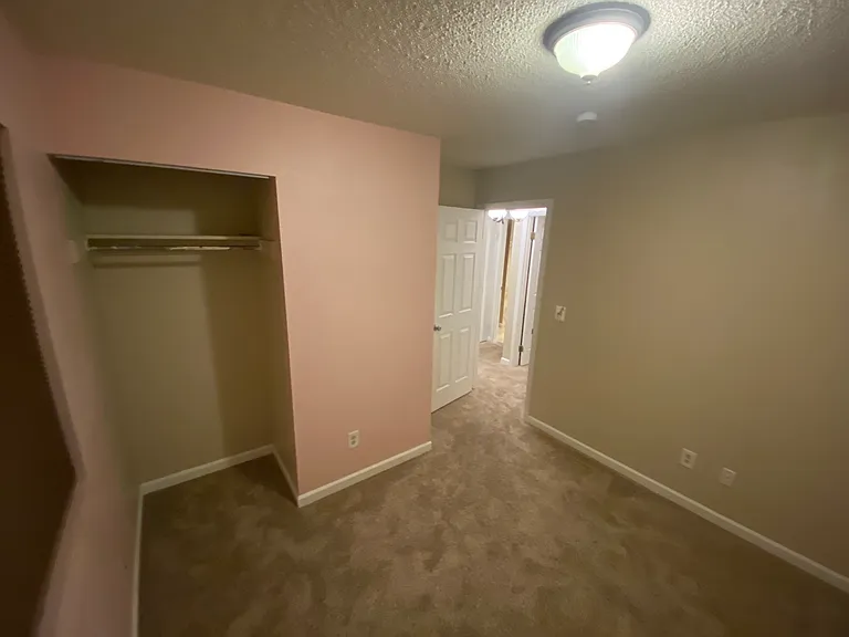 7165 White Mountain Dr — Photo 8