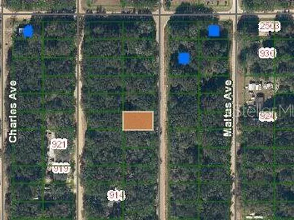Annette Ave #31, Interlachen, FL 32148
