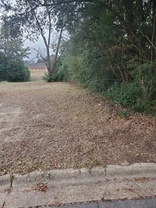 515 Cherry Ave, Albany, GA, 31701