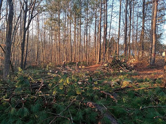 clearing for workshop