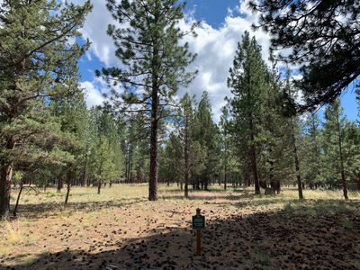 915 E Coyote Springs Rd, Sisters, OR, 97759