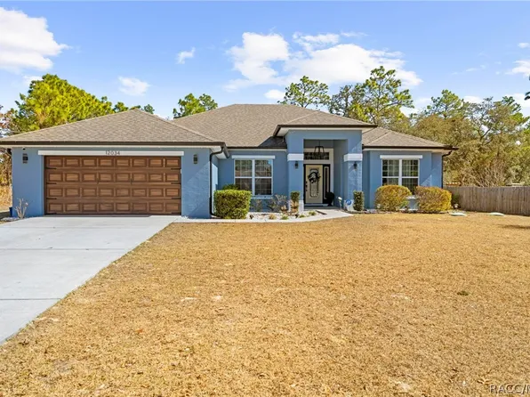 12034 Mandlin Rd, Weeki Wachee, FL 34614