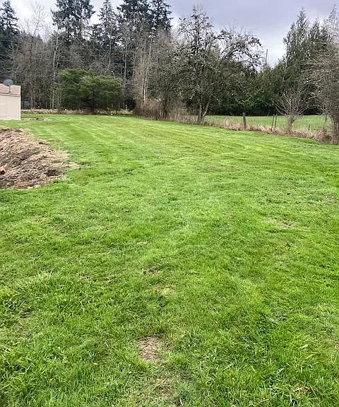 View from the BR window-Green open field in the back of the unit.