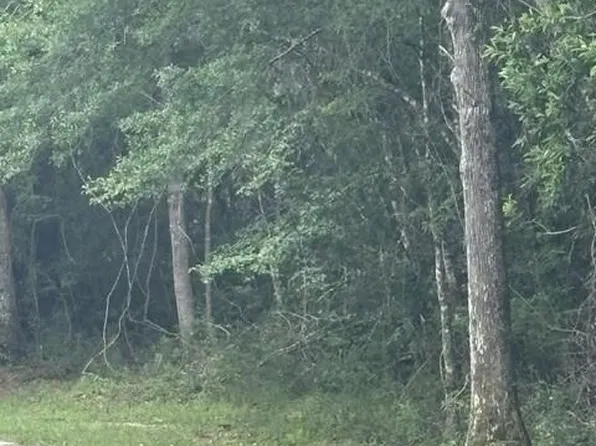 26063 Elm Rd, Pass Christian, MS 39571