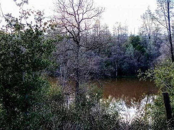 3rd image of 18675 Wilderness Dr
