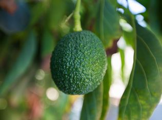 Carancho Rd LOT 4, Temecula, CA 92590