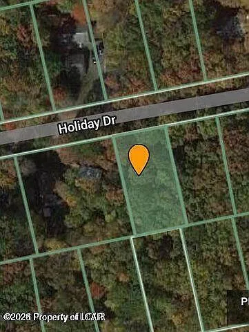 53 Holiday Dr photo 1
