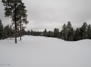 120 Cliff Rose Ln, Show Low, AZ 85901