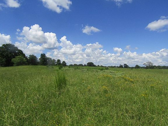5th image of 5796 County Road 724