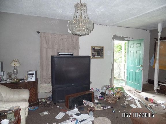 5th image of 91 Marjorie St
