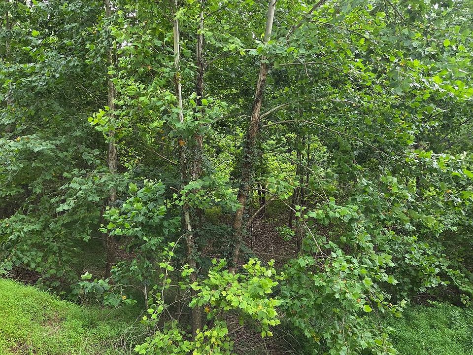 1st image of Mountain Lake Rd