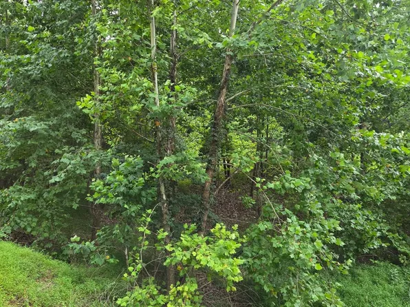 Mountain Lake Rd, Hedgesville, WV 25427