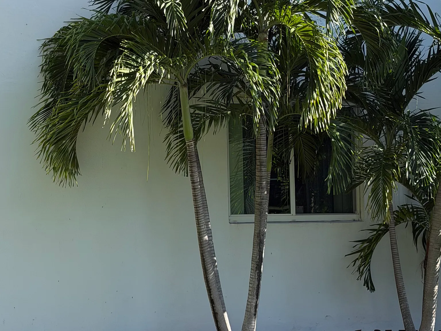 3 bed, 1200 sqft, $2,650 — Photo 3