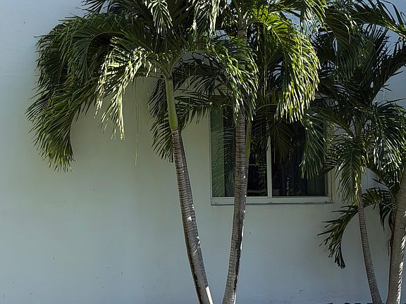 2nd image of 9125 SW 77th Ave #103