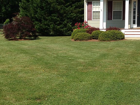 3rd image of 745 Calloway Dr