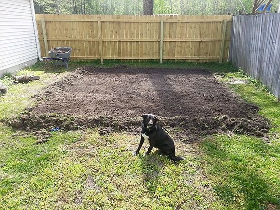 Garden ready for green thumb