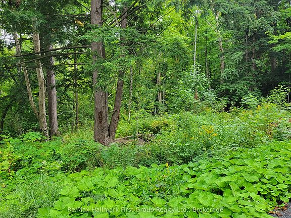 2nd image of 0 Black River Rd N