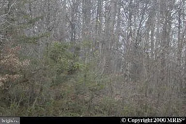 Darcy Rd photo 1