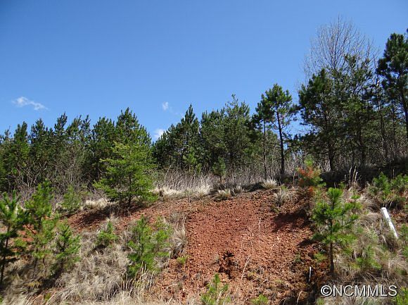 2nd image of 60 Climbing Aster Way