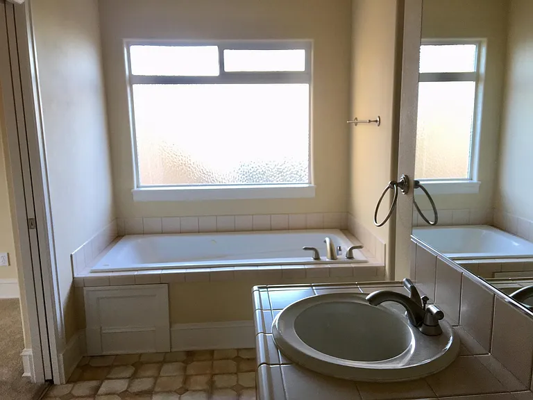 Master Bath with Jet Tub