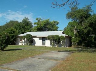 542 N Summit Ave, Lake Helen, FL 32744