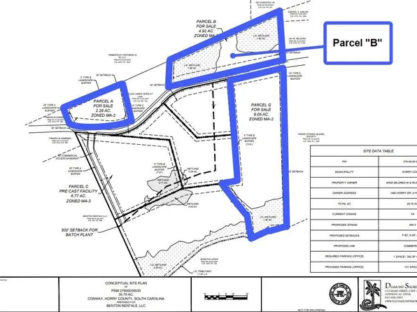 TBD Mount Pisgah Cemetery Rd. #Parcel C, Conway, SC 29526