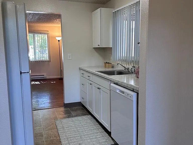 360 S Locust St #360 — Photo 5